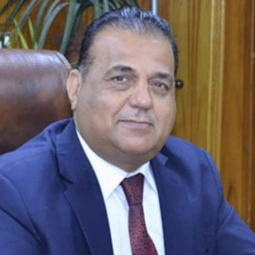 الأستاذ الدكتور جبار درويش الشمري - مدير مركز المستنصرية للدراسات العربية والدولية